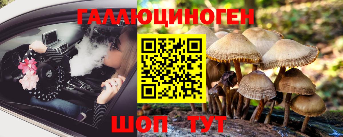 Галлюциногенные грибы GOLDEN TEACHER  Псилоцибиновые грибы Psilocybine cubensis  Балашиха  Вход с VPN 